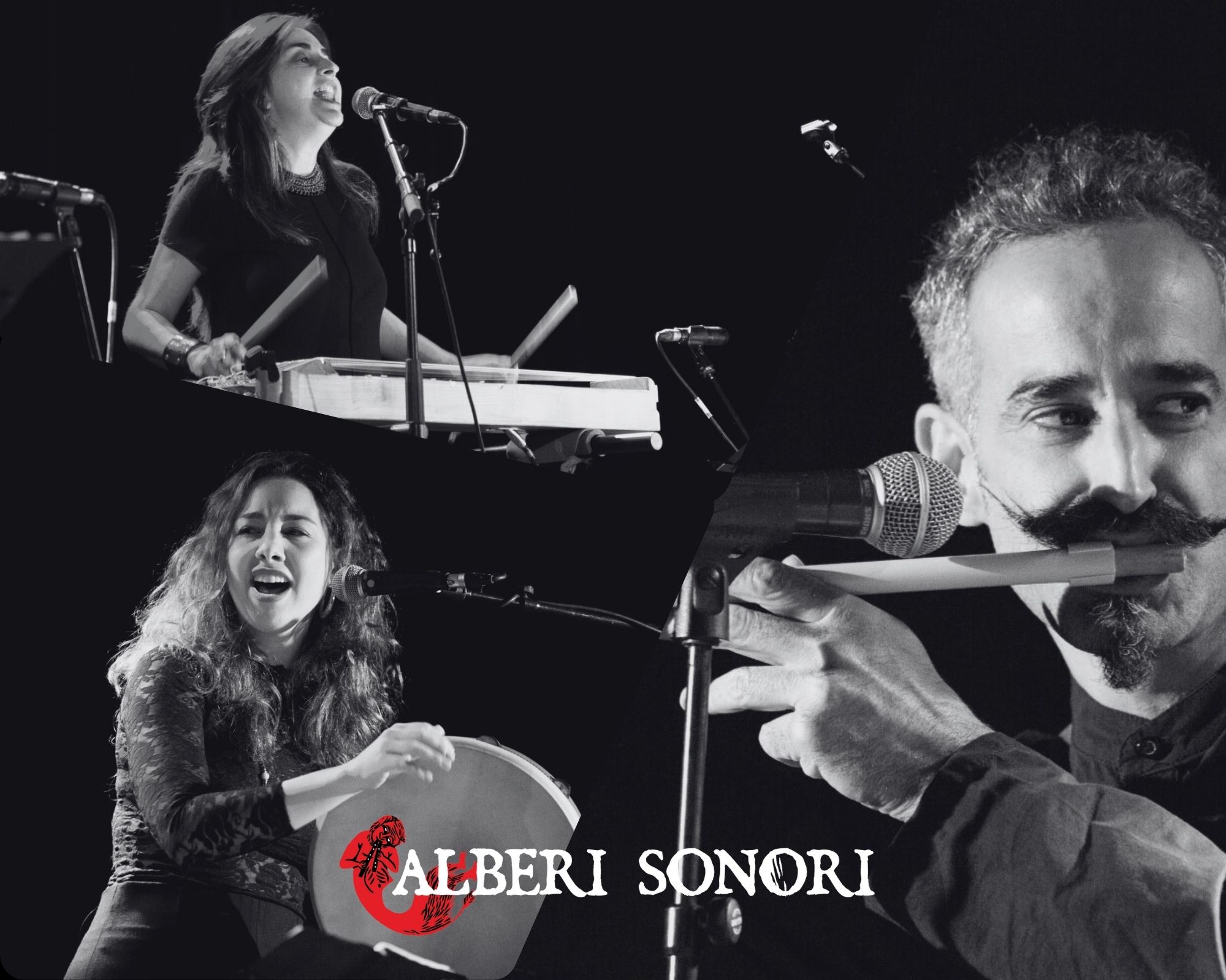 Concert - Alberi Sonori trio, Samedi 27 juillet à 20h30